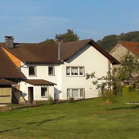 Ferienwohnung Auf Dem Pferdehof Schotten Ngoại thất bức ảnh