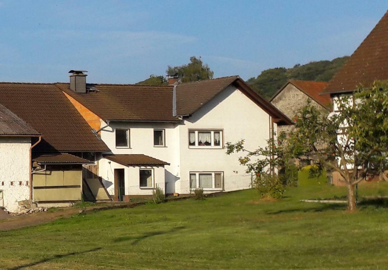 Ferienwohnung Auf Dem Pferdehof Schotten Ngoại thất bức ảnh